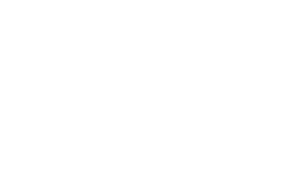 GIANTS Software